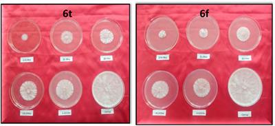 Novel indazolylchromones: synthesis, fungicidal evaluation, molecular docking and aquatic toxicity prediction